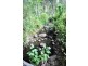 82 Noonara Dr, Canungra QLD 4275