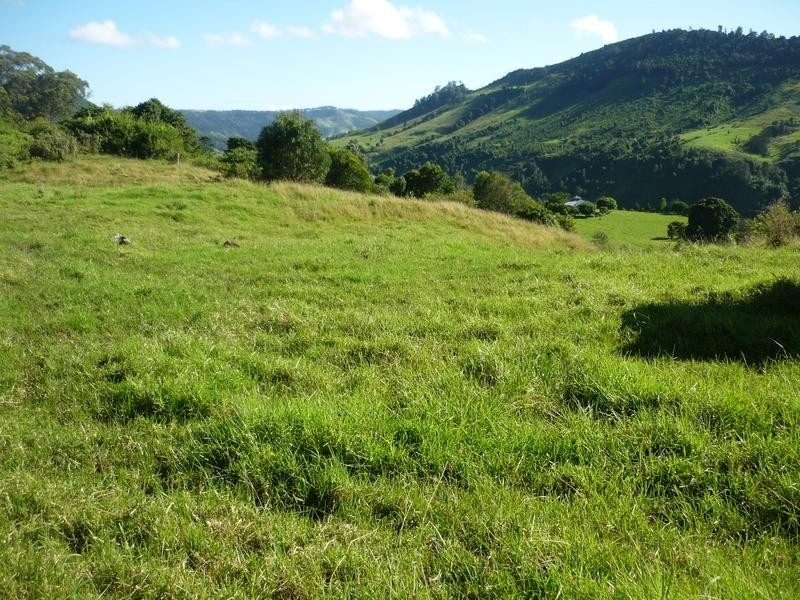 590 Illinbah Road, Illinbah QLD 4275