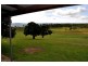 Biddaddaba QLD 4275