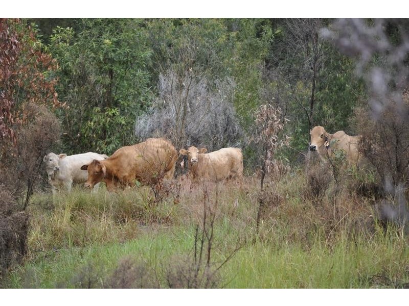Mundoolun QLD 4285