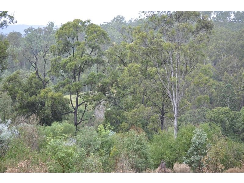 Mundoolun QLD 4285