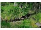 82 Noonara Drive, Canungra QLD 4275