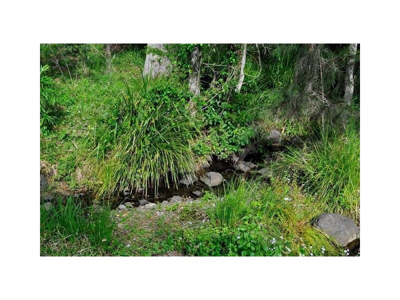 82 Noonara Drive, Canungra QLD 4275