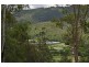 911 Beaudesert – Nerang Road, Mount Nathan QLD 4211