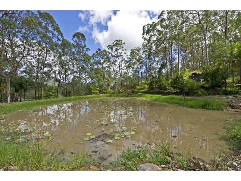 911 Beaudesert – Nerang Road, Mount Nathan QLD 4211