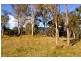 Mundoolun QLD 4285