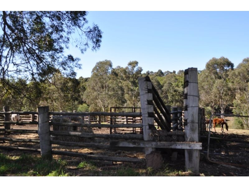 135 Trewin Road, Mundoolun QLD 4285