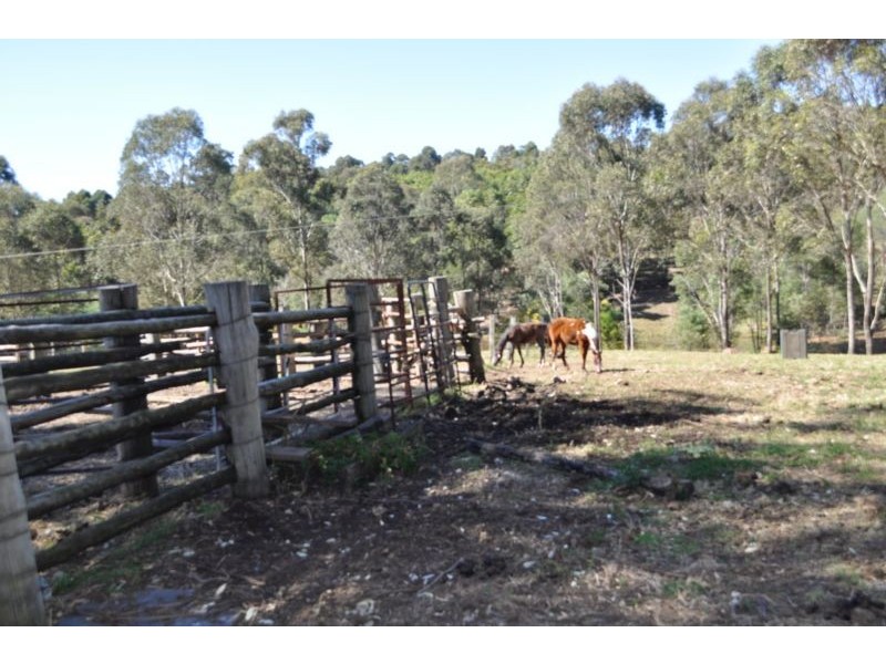 135 Trewin Road, Mundoolun QLD 4285
