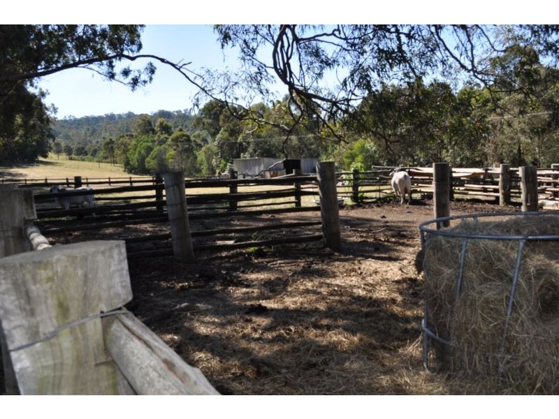 135 Trewin Road, Mundoolun QLD 4285