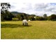 Cedar Creek QLD 4207