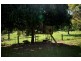 1 Bluegum, Wonglepong QLD 4275
