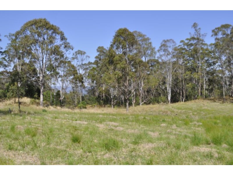 Lot 300, 2136 Tamborine Mountain Road, Canungra QLD 4275