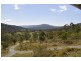 Canungra QLD 4275