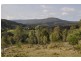 Canungra QLD 4275