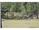 Tamborine QLD 4270