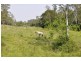 164 Boomerang Road, Tamborine QLD 4270