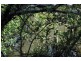 164 Boomerang Road, Tamborine QLD 4270