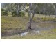 Canungra QLD 4275