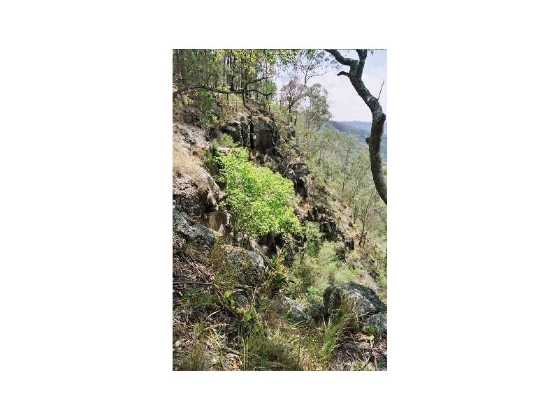 Lot 1 Beechmont Road, Beechmont QLD 4211