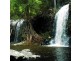 Beechmont QLD 4211
