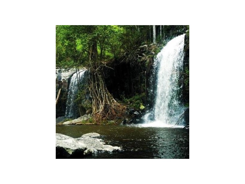 Beechmont QLD 4211