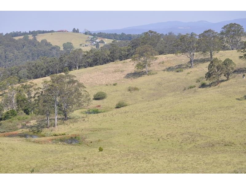 Beechmont QLD 4211