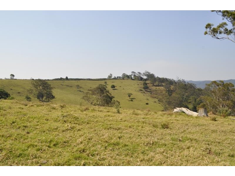 Beechmont QLD 4211