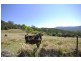 Witheren QLD 4275
