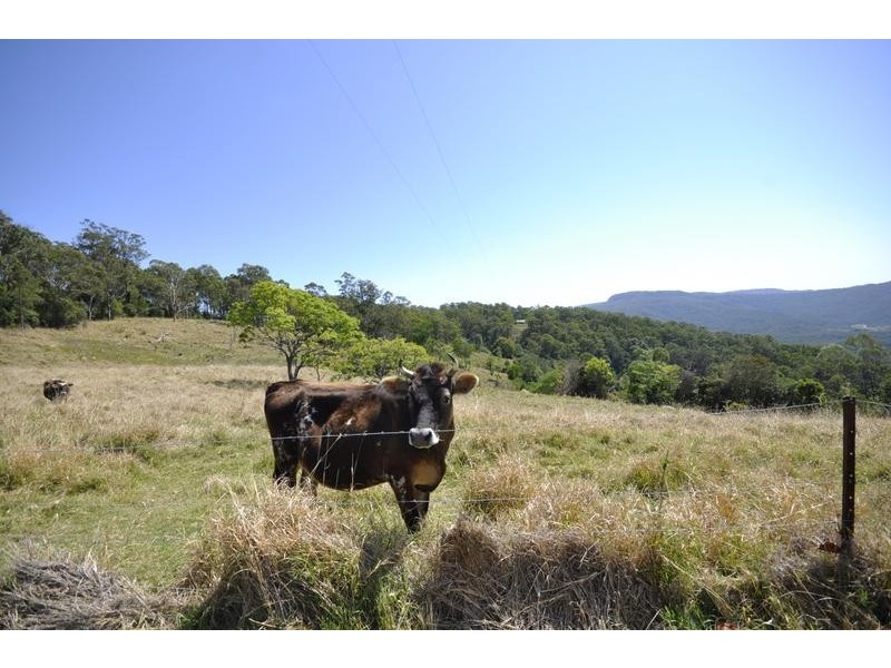 Witheren QLD 4275