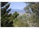 Witheren QLD 4275