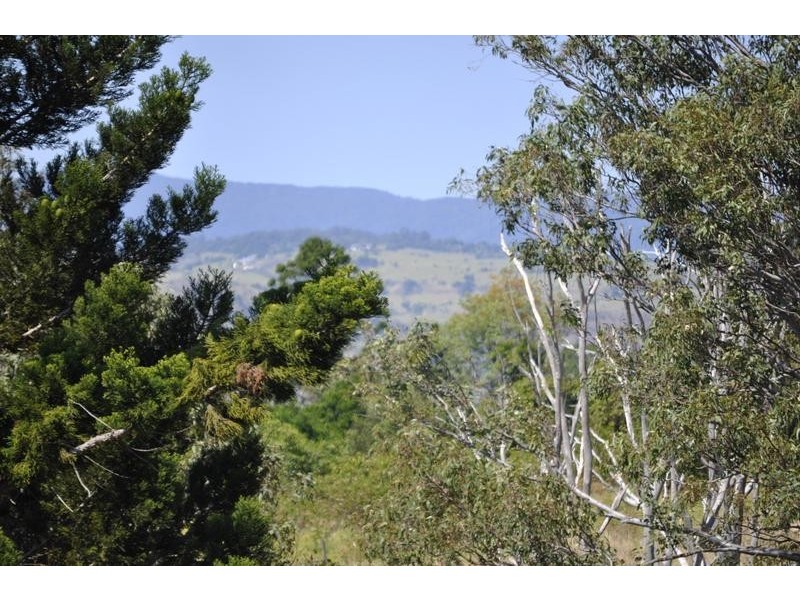 Witheren QLD 4275