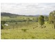 Biddaddaba QLD 4275