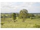 Biddaddaba QLD 4275