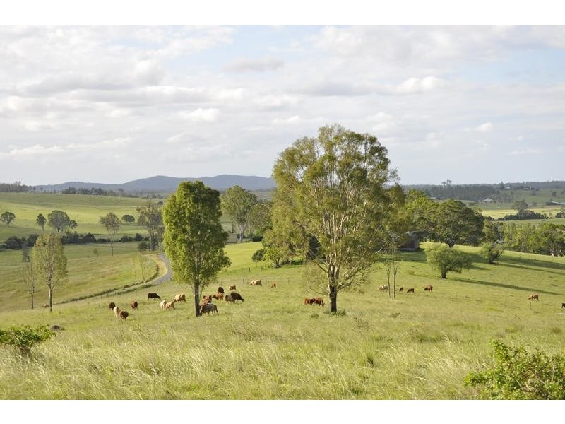 Biddaddaba QLD 4275