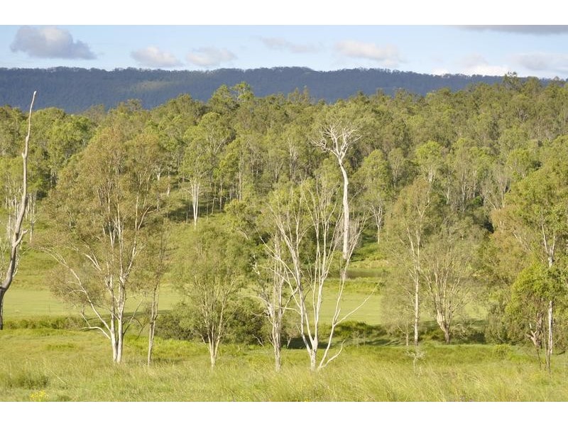 Biddaddaba QLD 4275