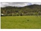 Canungra QLD 4275