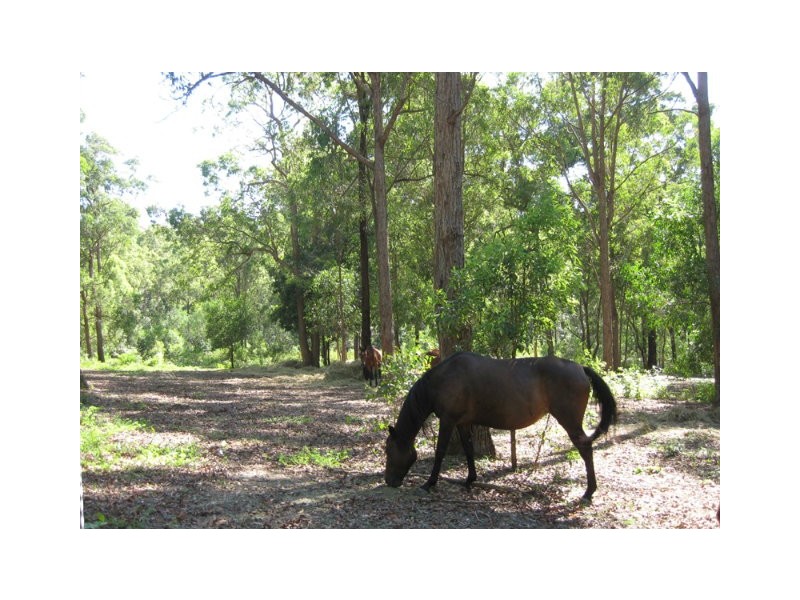 Cedar Creek QLD 4207