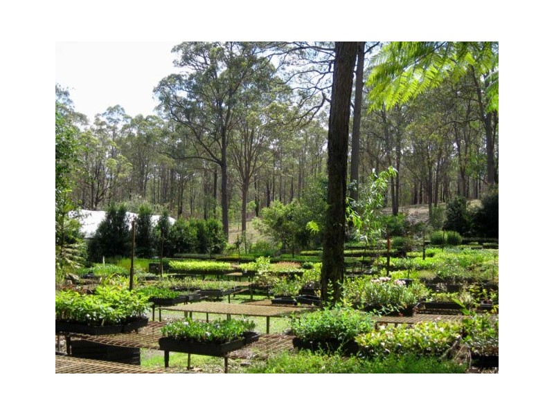 Cedar Creek QLD 4207