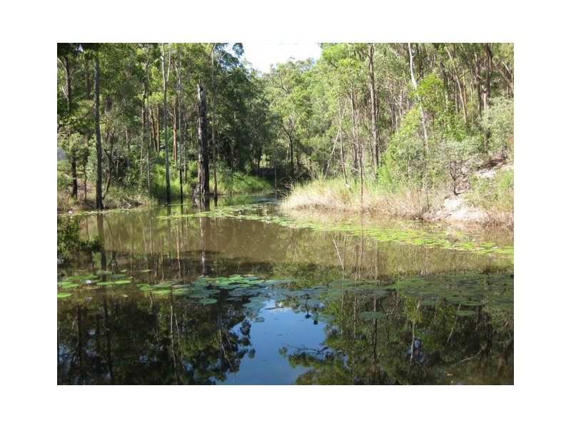 Cedar Creek QLD 4207