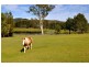 Wonglepong QLD 4275