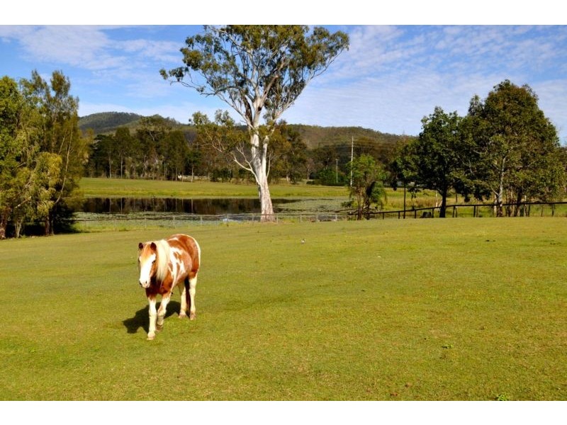 Wonglepong QLD 4275