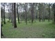 Canungra QLD 4275