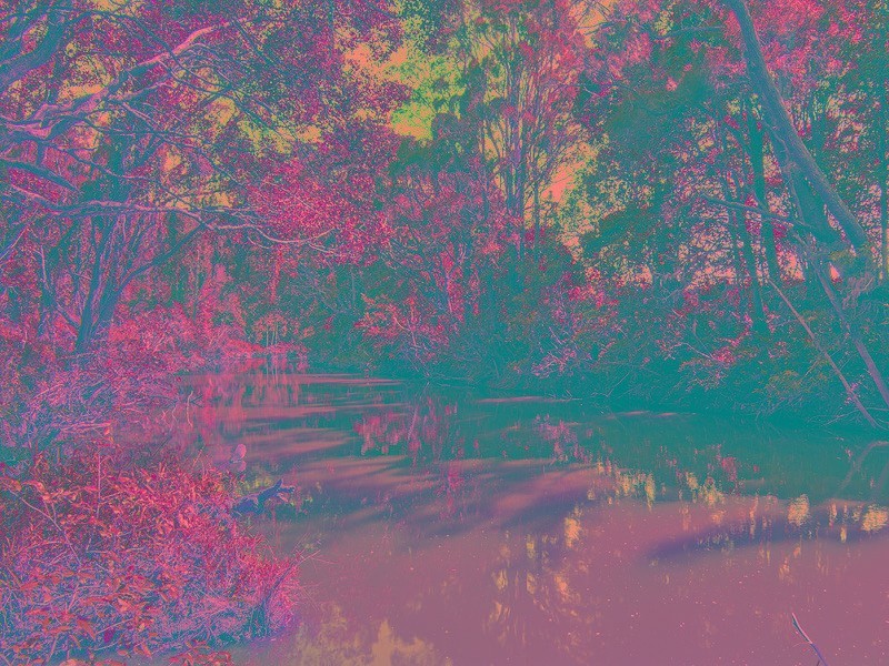 40 Riverbend Drive, Canungra QLD 4275