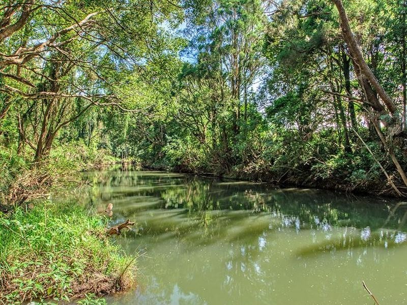 40 Riverbend Drive, Canungra QLD 4275