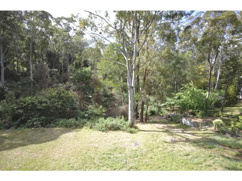 Lower Beechmont QLD 4211