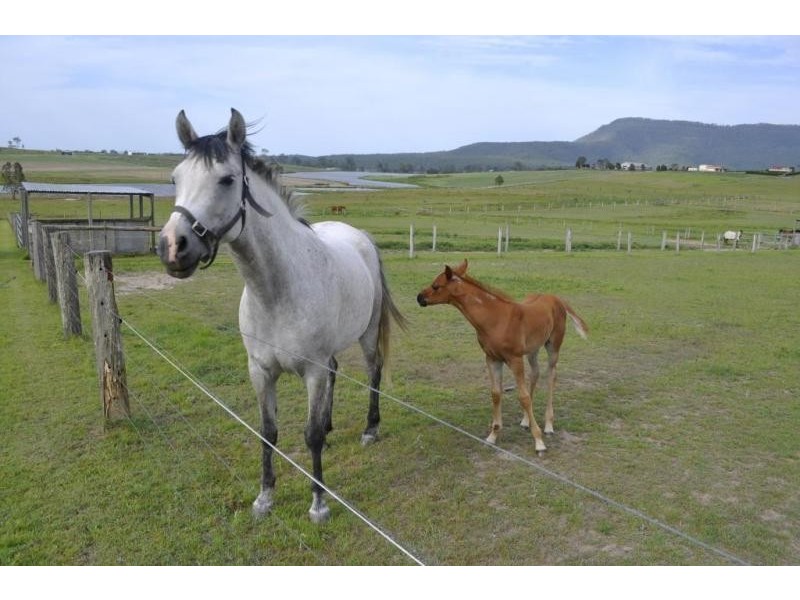 233 Boyland Road, Boyland QLD 4275