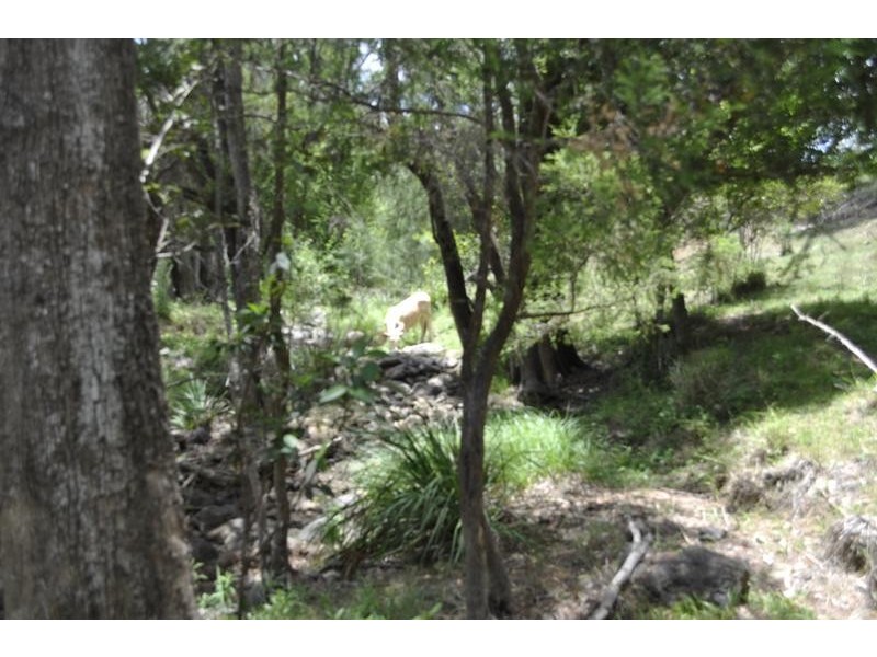 Lot 6,  Toe Holt Road, Witheren QLD 4275