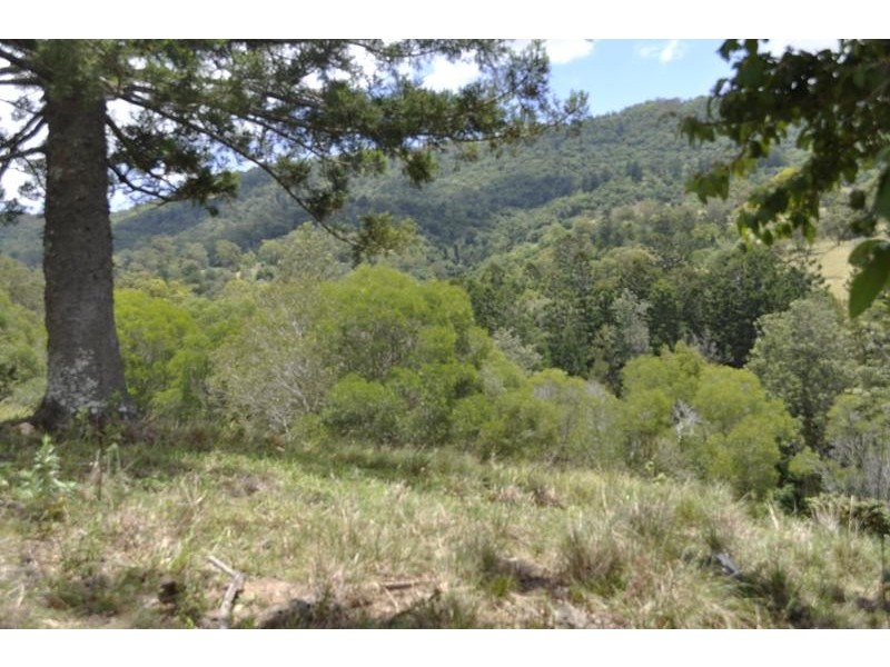 Lot 6,  Toe Holt Road, Witheren QLD 4275