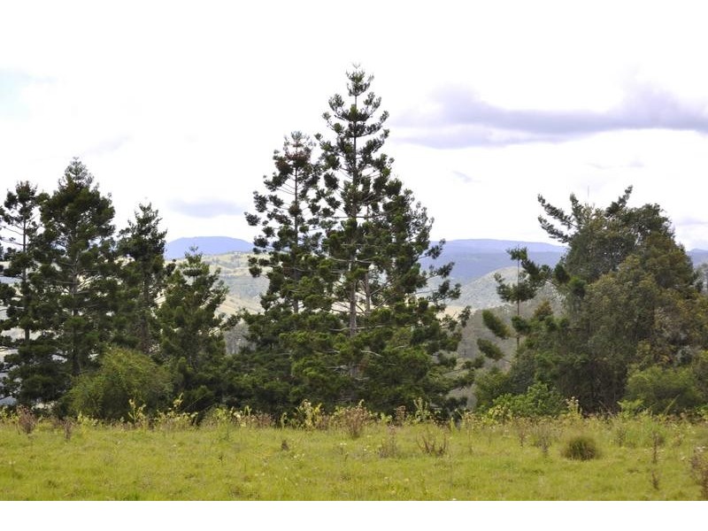 Lot 10,  Darlington Range Road, Witheren QLD 4275