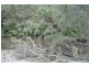Lot 14,  Four Mile Lane, Boyland QLD 4275